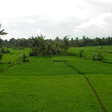 Green Field Hotel And Bungalow Ubud  Exterior photo