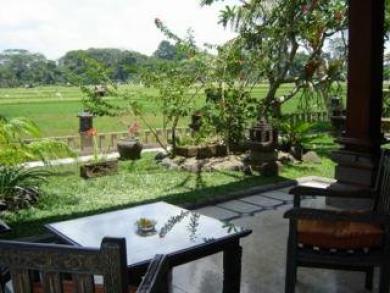 Green Field Hotel And Bungalow Ubud  Exterior photo